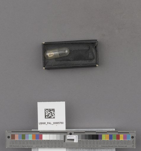 NSF ADBC EPICC TCN