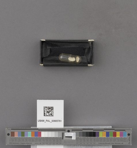 NSF ADBC EPICC TCN