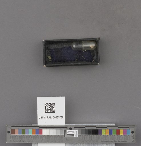 NSF ADBC EPICC TCN