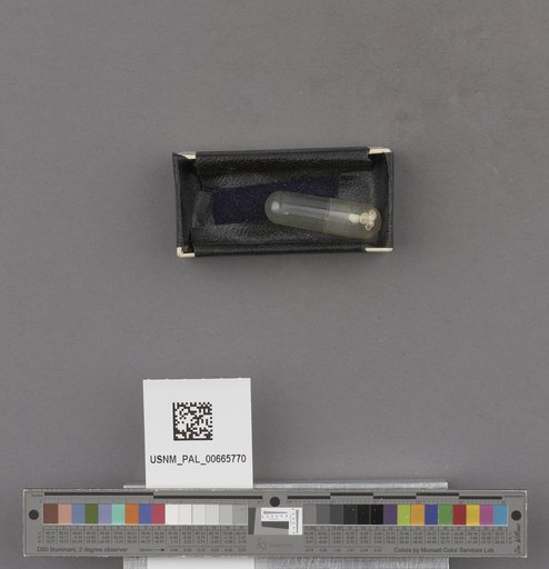 NSF ADBC EPICC TCN