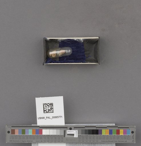 NSF ADBC EPICC TCN