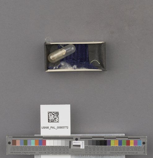 NSF ADBC EPICC TCN
