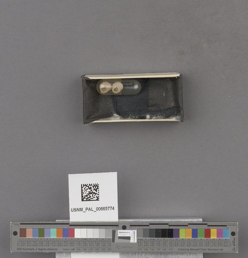 NSF ADBC EPICC TCN