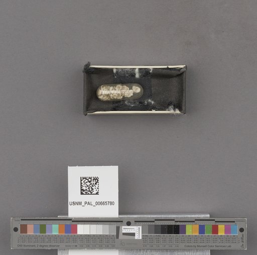 NSF ADBC EPICC TCN