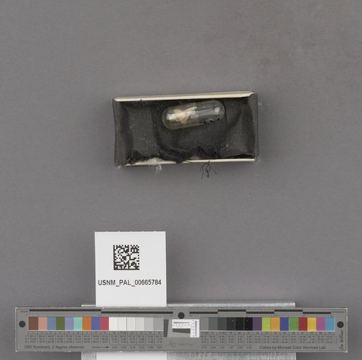 NSF ADBC EPICC TCN