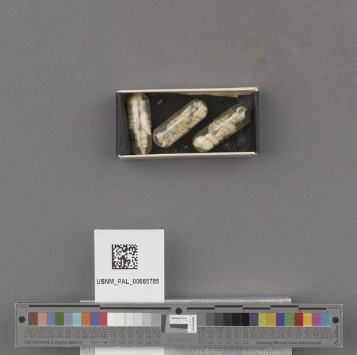 NSF ADBC EPICC TCN