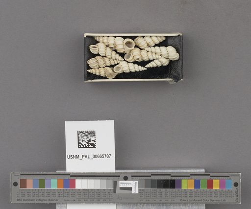 NSF ADBC EPICC TCN