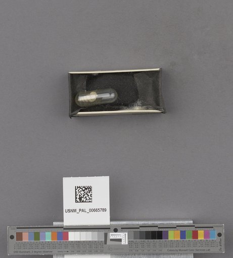 NSF ADBC EPICC TCN