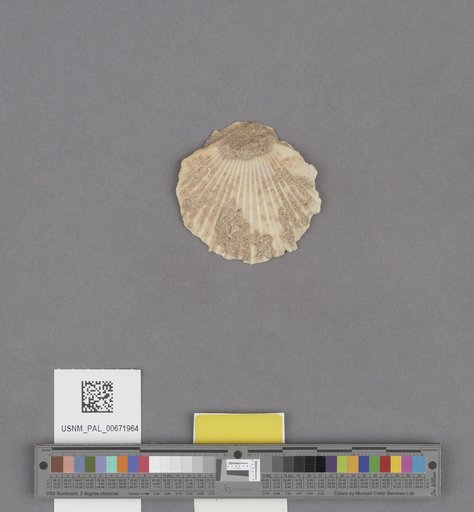 NSF ADBC EPICC TCN