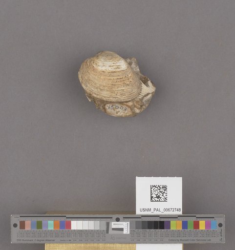NSF ADBC EPICC TCN