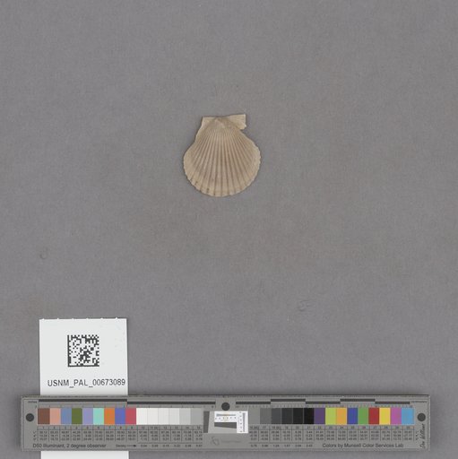 NSF ADBC EPICC TCN