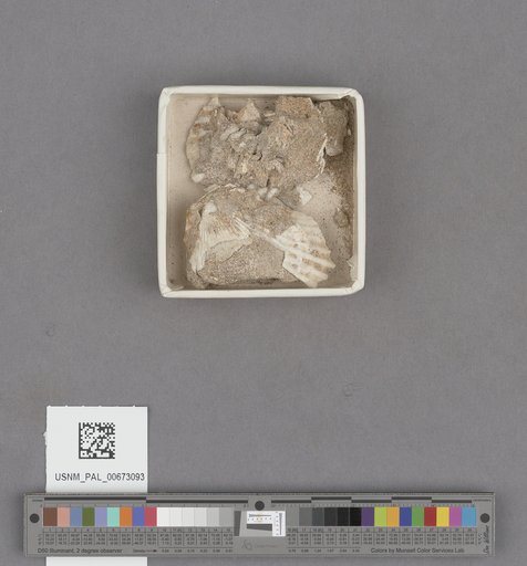 NSF ADBC EPICC TCN