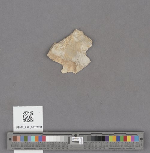 NSF ADBC EPICC TCN