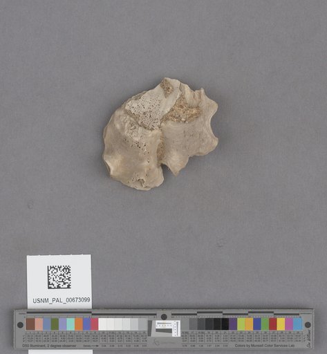 NSF ADBC EPICC TCN