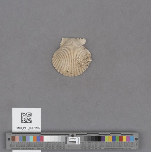 NSF ADBC EPICC TCN