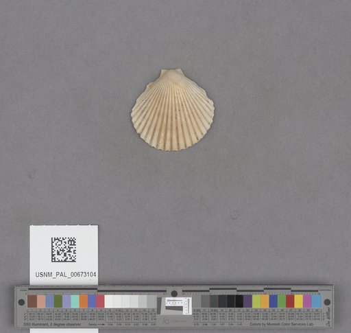NSF ADBC EPICC TCN