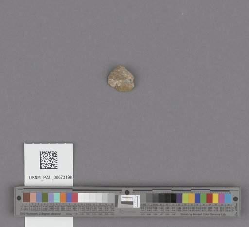NSF ADBC EPICC TCN