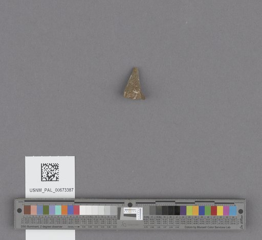 NSF ADBC EPICC TCN