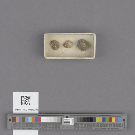 NSF ADBC EPICC TCN