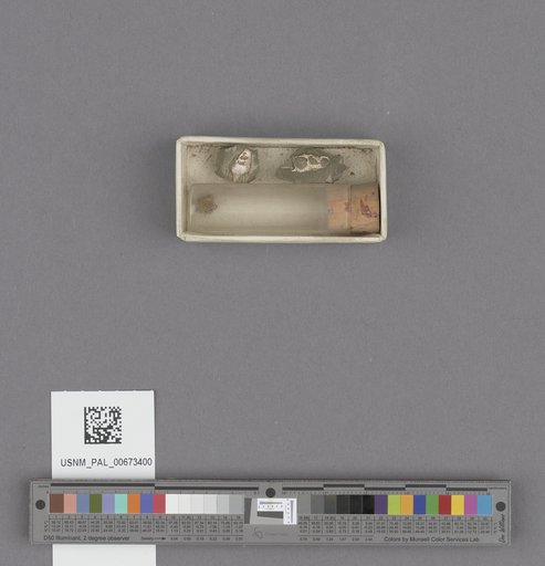 NSF ADBC EPICC TCN