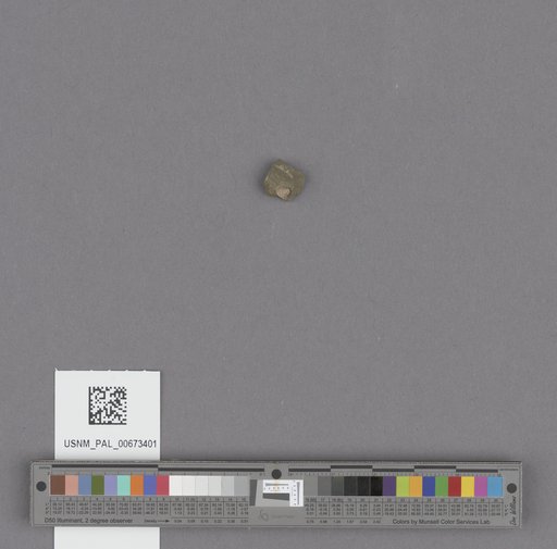 NSF ADBC EPICC TCN