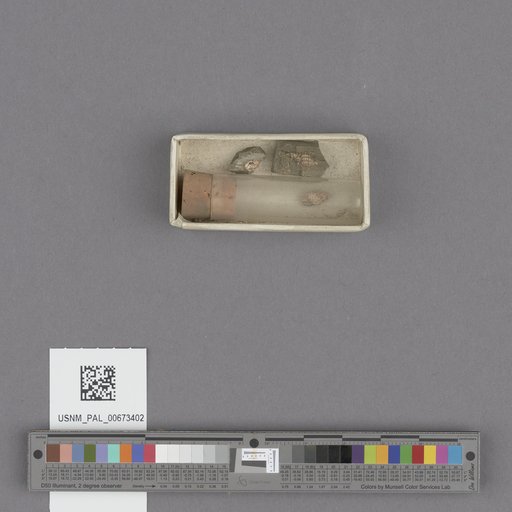NSF ADBC EPICC TCN