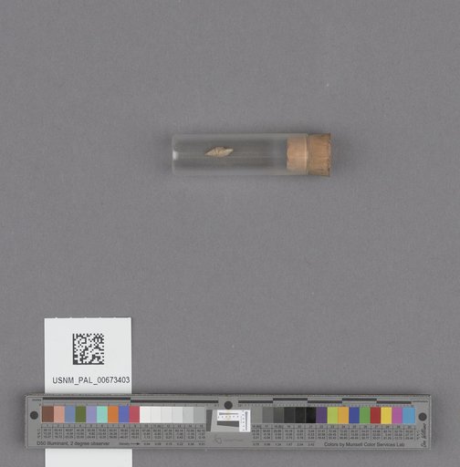 NSF ADBC EPICC TCN