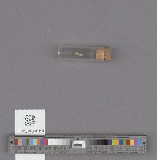 NSF ADBC EPICC TCN