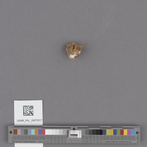 NSF ADBC EPICC TCN