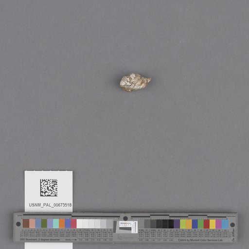 NSF ADBC EPICC TCN