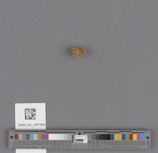 NSF ADBC EPICC TCN