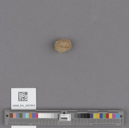 NSF ADBC EPICC TCN