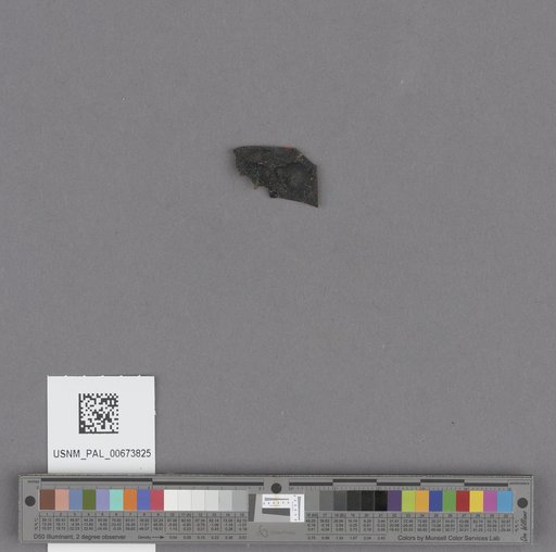 NSF ADBC EPICC TCN