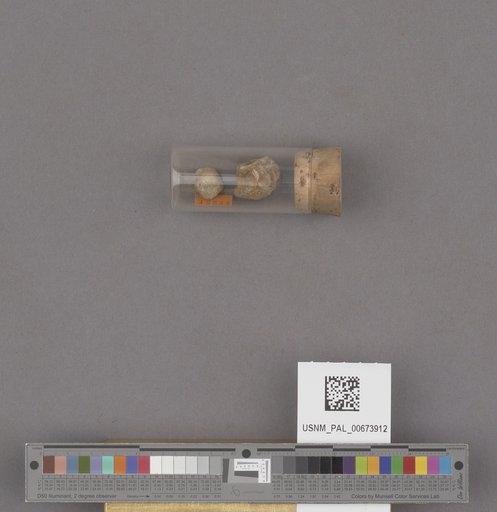 NSF ADBC EPICC TCN