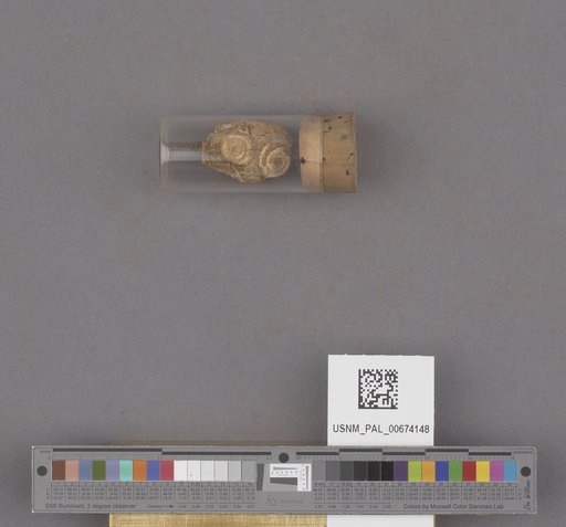 NSF ADBC EPICC TCN