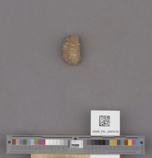 NSF ADBC EPICC TCN