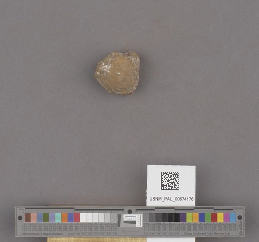 NSF ADBC EPICC TCN