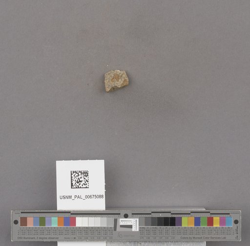 NSF ADBC EPICC TCN