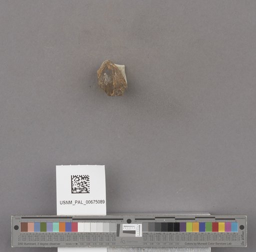 NSF ADBC EPICC TCN