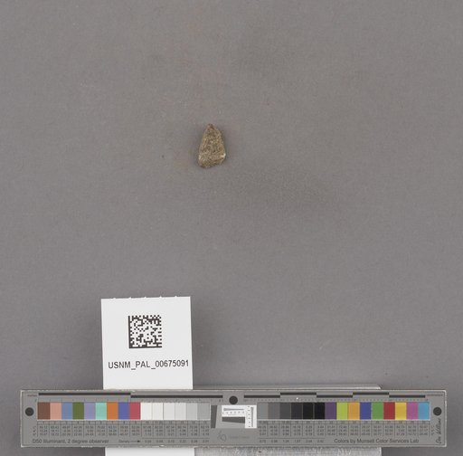 NSF ADBC EPICC TCN