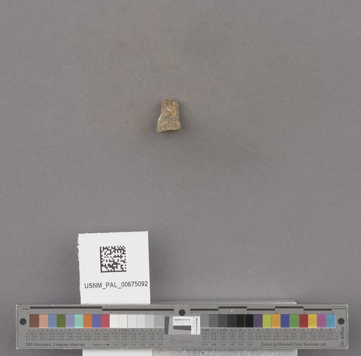 NSF ADBC EPICC TCN