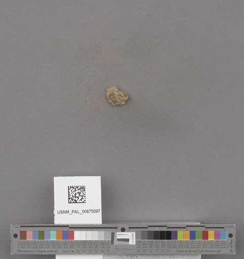 NSF ADBC EPICC TCN