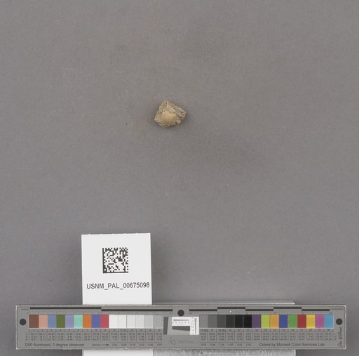 NSF ADBC EPICC TCN