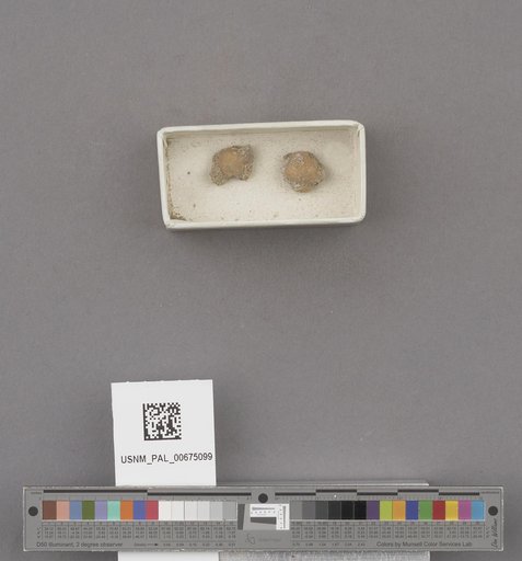 NSF ADBC EPICC TCN