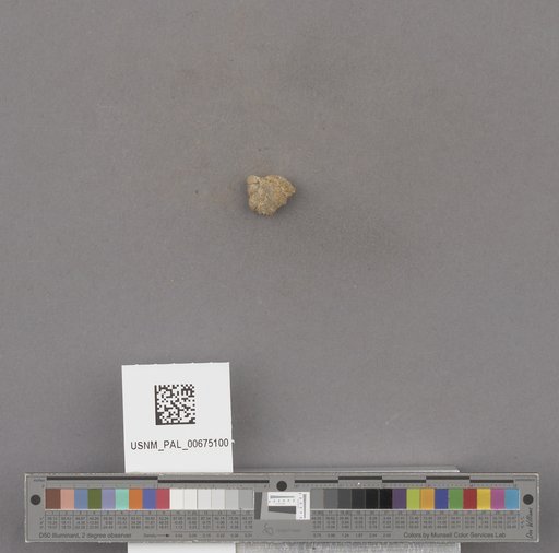 NSF ADBC EPICC TCN