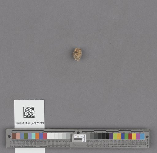 NSF ADBC EPICC TCN