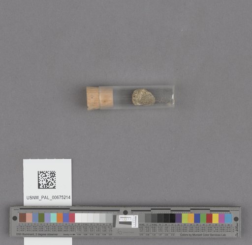 NSF ADBC EPICC TCN