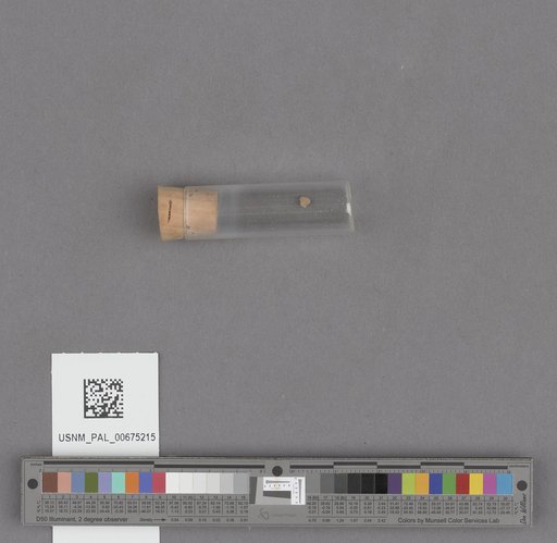 NSF ADBC EPICC TCN