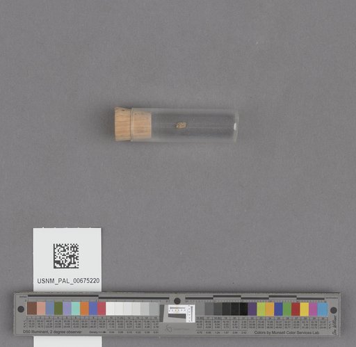 NSF ADBC EPICC TCN