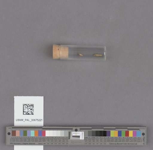 NSF ADBC EPICC TCN